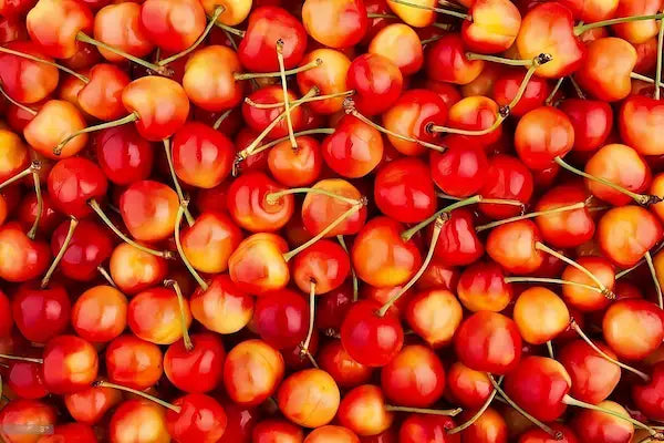1 x 2 Kgs White Cherries image 0
